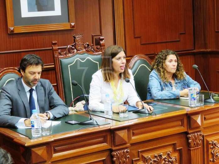 La alcaldesa Carmen Hernández, hoy en el último pleno de este mandato (Foto TA)