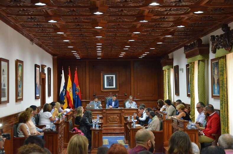 Imagen del Pleno ordinario celebrado este miércoles (Foto TA)