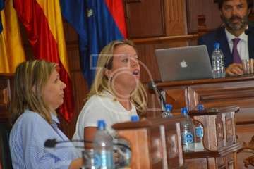 Telde desterra el plástico del salón de Plenos (Foto TA)