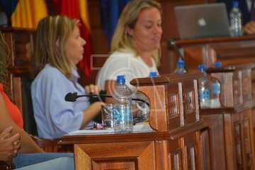 Telde desterra el plástico del salón de Plenos (Foto TA)