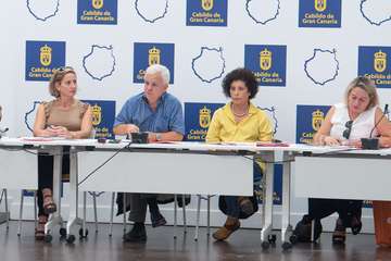 Reunión del Consejo Insular de Solidaridad de Gran Canaria (Foto TA)