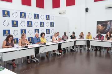 Reunión del Consejo Insular de Solidaridad de Gran Canaria (Foto TA)