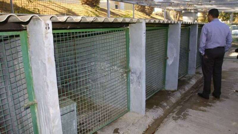 Imagen de archivo del Depósito Temporal de Animales (Foto TA)