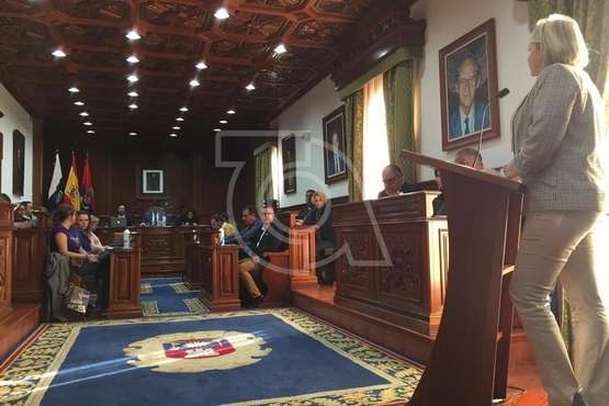 Lidia Blanco, presidenta de Adigran, leyó el manifiesto institucional sobre la diabetes en el Pleno de este jueves (Foto TA)