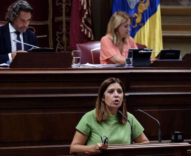 Carmen Hernández, parlamentaria regional de NC y vicealcaldesa de Telde (Foto TA)