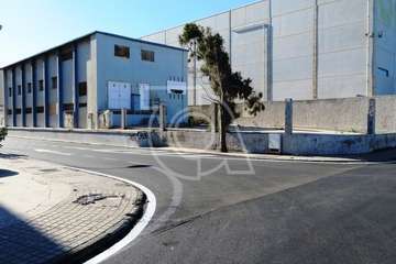 El alquitrán cambia la faz de 18 calles de la zona industrial de Salinetas (Foto TA)