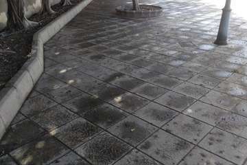 Telde intensifica las labores de desinfección y limpieza en barrios del municipio (Foto TA)