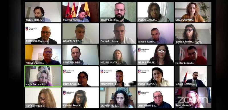 Imagen del Pleno extraordinario telemático celebrado el pasado 7 de mayo (Foto TA)