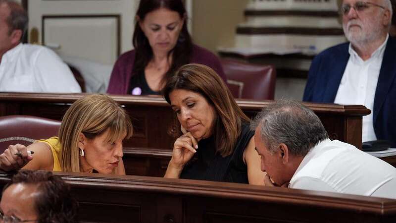 Carmen Hernández, diputada y vicealcaldesa de Telde, en una imagen de archivo en el Parlamento de Canarias (Foto TA)