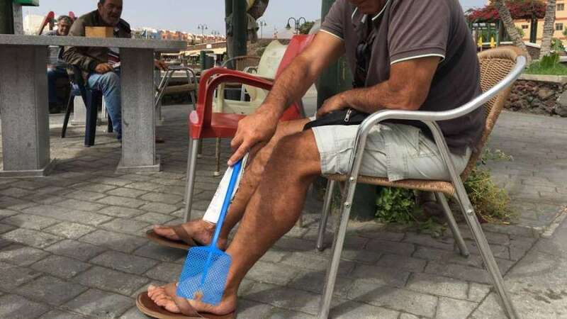 Imagen de archivo de una plaga de moscas en Melenara (Foto C7)