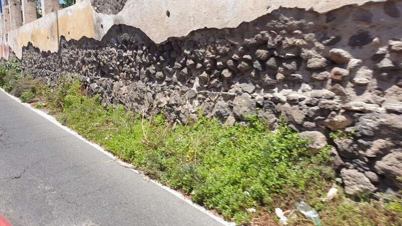 Margen de la carretera de acceso a Melenara/TA.