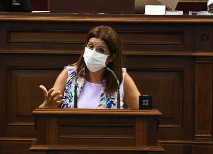 Carmen Hernández durante su intervención este martes en el Parlamento canario (Foto TA)