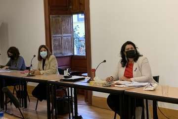 Sesión plenaria del mes de noviembre de 2020/TA y Francisco Javier Santana.