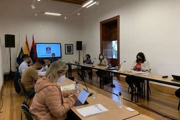 Sesión plenaria del mes de noviembre de 2020/TA y Francisco Javier Santana.