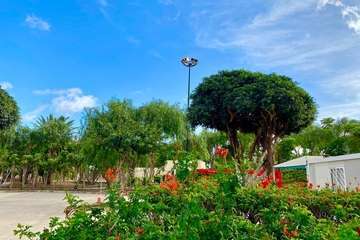 Parques y Jardines sustituye luminarias en los parques urbanos de Telde/TA.