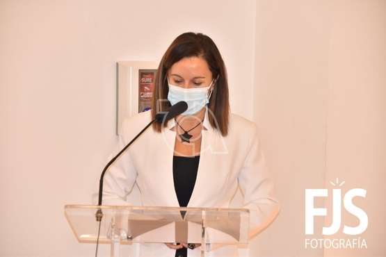 Comparecencia de la concejala Lidia Mejías a petición de Ciuca/Francisco Javier Santana.