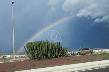 Operarios municipales retiran las vallas oxidadas de un paso elevado del vial costero de Telde/TA.