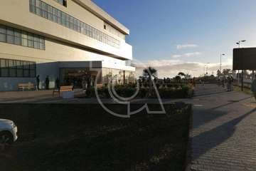 Telde instala carpas para los usuarios en la entrada al edificio municipal de El Cubillo/TA.