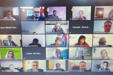 Pleno ordinario del mes de enero de 2021/TA.