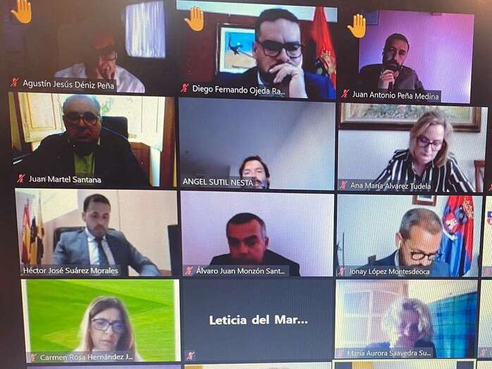 Imagen de la sesión telemática del Pleno de este jueves/TA.