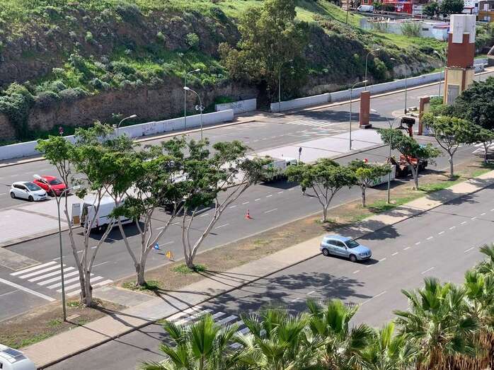 Trabajo de poda de la arboleda de la explanada donde se desarrolla el mercado dominical de Jinámar/TA.