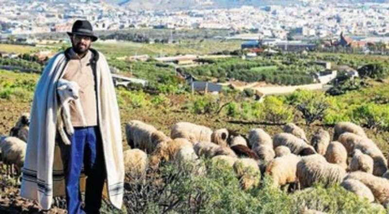 Imagen de archivo del pastor teldense Ruymán Mena/TA.