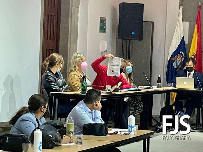 Peña, durante el Pleno mostrando el documento que demostraría la interposición de la denuncia contra Mejías /TA.