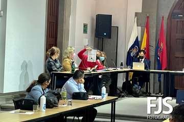  Mejías insta a Ciuca a dejar de 