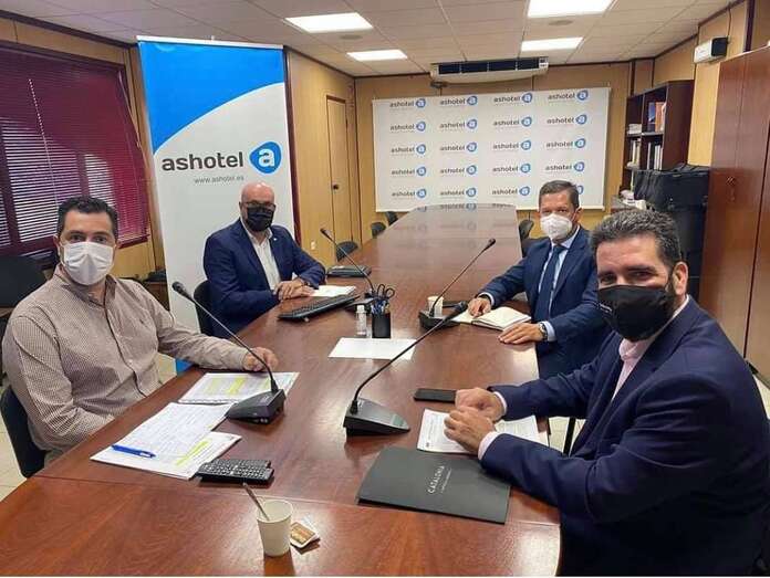 Alejandro Ramos, primero por la izquierda, en el encuentro virtual de este viernes/TA.