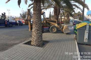  Servicios lleva un intervención integral de recogida de escombros y residuos en Ojos de Garza (Telde)/TA.