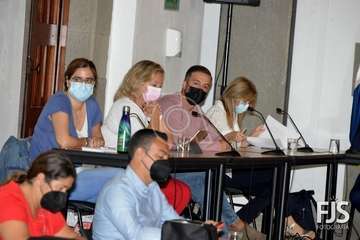 Sesión plenaria de este jueves correspondiente al mes de junio de 2021/Francisco Javier Santana.