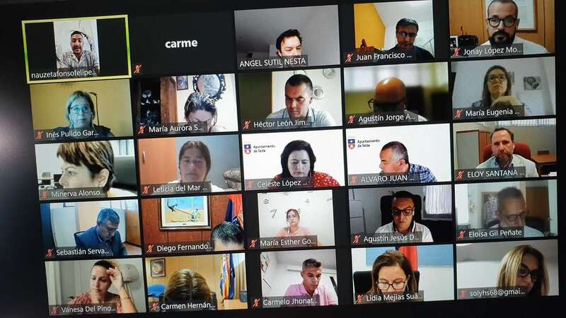 Imagen de la reunión telemática de este jueves/TA.