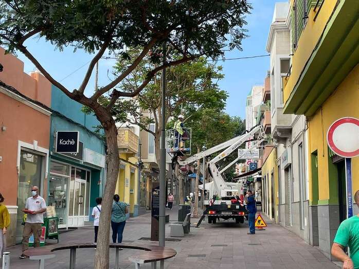Colocación de arcos navideños en la Avenida de la Constitución, en Los Llanos de Telde, esta mañana/TA.