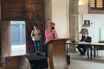 La exconcejala Gregoria González alza su voz en el Pleno de Telde contra el feminicidio/Francisco Javier Santana.