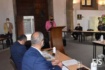 La exconcejala Gregoria González alza su voz en el Pleno de Telde contra el feminicidio/Francisco Javier Santana.