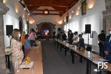 La exconcejala Gregoria González alza su voz en el Pleno de Telde contra el feminicidio/Francisco Javier Santana.