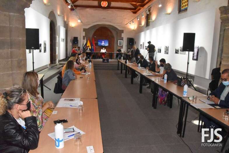 Imagen del Pleno municipal de este jueves / FJS