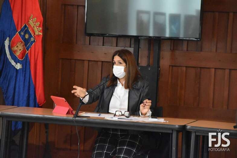 Imagen de archivo de la alcaldesa en un Pleno reciente del Ayuntamiento de Telde/TA.