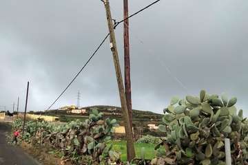 La carretera Montaña del Palmital luce renovados puntos de luz/TA.