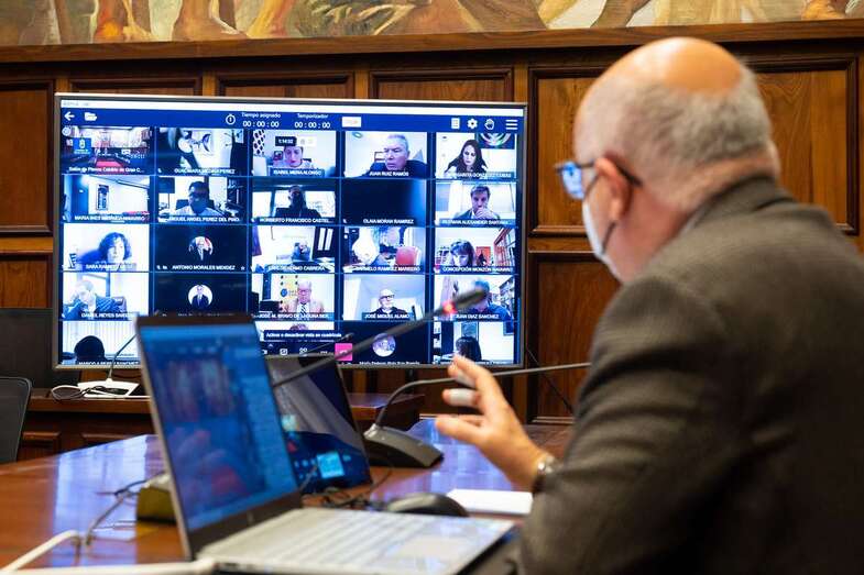 Momento de la reunión telemática de este viernes del Pleno del Cabildo/TA.