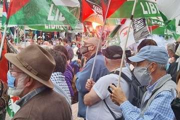 Telde secunda en la capital la concentración por la autodeterminación del pueblo saharaui/TA, Acfi Press y José Manuel García.