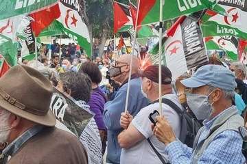 Telde secunda en la capital la concentración por la autodeterminación del pueblo saharaui/TA, Acfi Press y José Manuel García.
