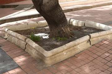 El PSOE de Telde palpa las deficiencias de San José de Longueras/TA.