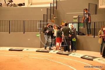 Asamblea local del PSOE de Telde, este miércoles en el terrero de lucha de Lomo Cementerio/Antonio Alí.