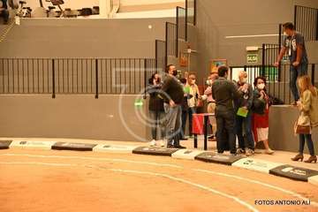 Asamblea local del PSOE de Telde, este miércoles en el terrero de lucha de Lomo Cementerio/Antonio Alí.