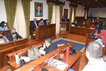 Lectura del manifiesto por Carla Demetrio en el Pleno de Telde de este martes/TA.