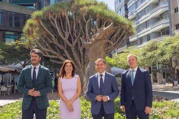 Reunión del grupo de las cuatro grandes ciudades canarias/TA.