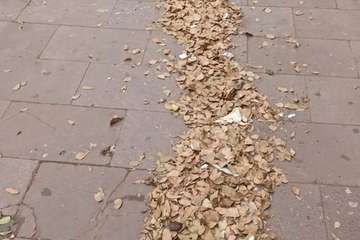 UP denuncia la suciedad dominical en la zona comercial de Los Llanos de Telde/TA.