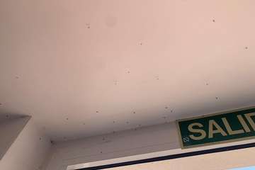 El agua empozada en un estanque, posible foco de una plaga de mosquitos en El Ejido (Telde)/TA.