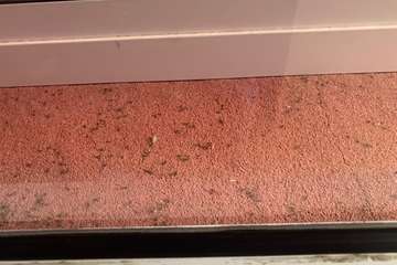 El agua empozada en un estanque, posible foco de una plaga de mosquitos en El Ejido (Telde)/TA.